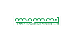 Lilo-1 Lilo-1 logo