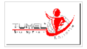TUMEL LOJISTIK IC VE DIS TIC.LTD.STI. tumel lojistik ic ve dis tic.ltd.sti.