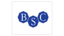 BSC LOJİSTİK (Sahis Firmasi) BSC LOJİSTİK (Sahis Firmasi) logo