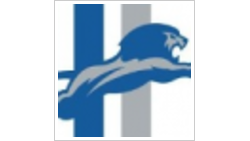 LIONS 2008 DOO LIONS 2008 DOO logo