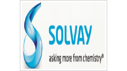 Solvay Chemicals International Solvay Chemicals International logo