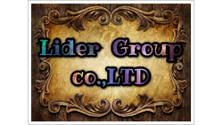 LIDER GROUP CO LTD logo
