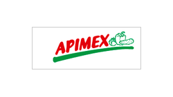 APIMEX GMBH logo
