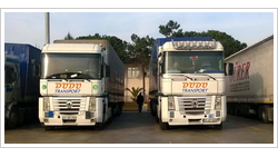 DUDU TRANSPORT DUDU TRANSPORT logo