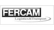 fercam transporte deutschland gmbh & co. speditions kg