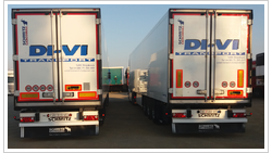 DI-VI TRANSPORT DOOEL DI-VI TRANSPORT DOOEL logo