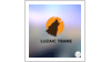LUZAIC TRANS LUZAIC TRANS logo