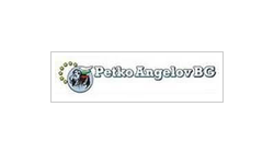 PETKO ANGELOV BG logo