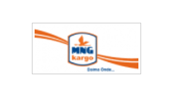 MNG KARGO YURTİÇİ YURT DIŞI TAŞIMACILIK logo