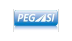 PEGAS L.T.D. logo