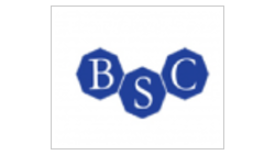 BSC LOJİSTİK (Sahis Firmasi) logo