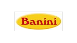 BANINI AD logo