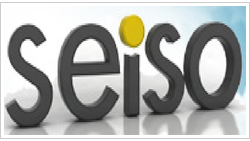 SEİSO Enerji A.S. logo