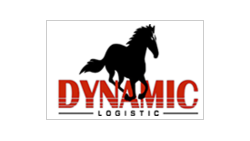 Dynamic Georgia LLC logo