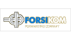 ООО FORSIKOM LOGISTIK logo