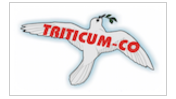 triticum-co  doo