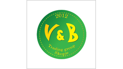 VIB TRADING GROUP DOO logo