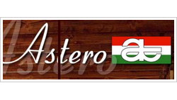 ASTERO KFT logo