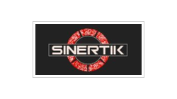 SINERTIK DOO logo