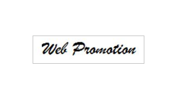 WEB PROMOTION logo