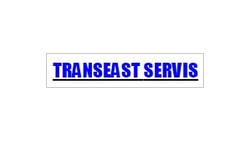 TRANS EAST SERVICE logo