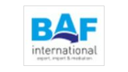 BAF INTRENATIONAL DOO logo