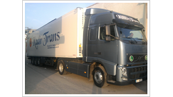 KADİR TRANS ULUSLARARASI TAŞIMACILIK LTD.STI. logo