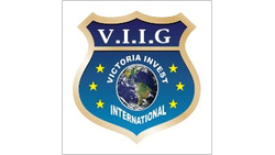 VICTORIA INVEST SHPK logo