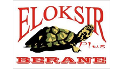 ELOKSIR PLUS DOO logo